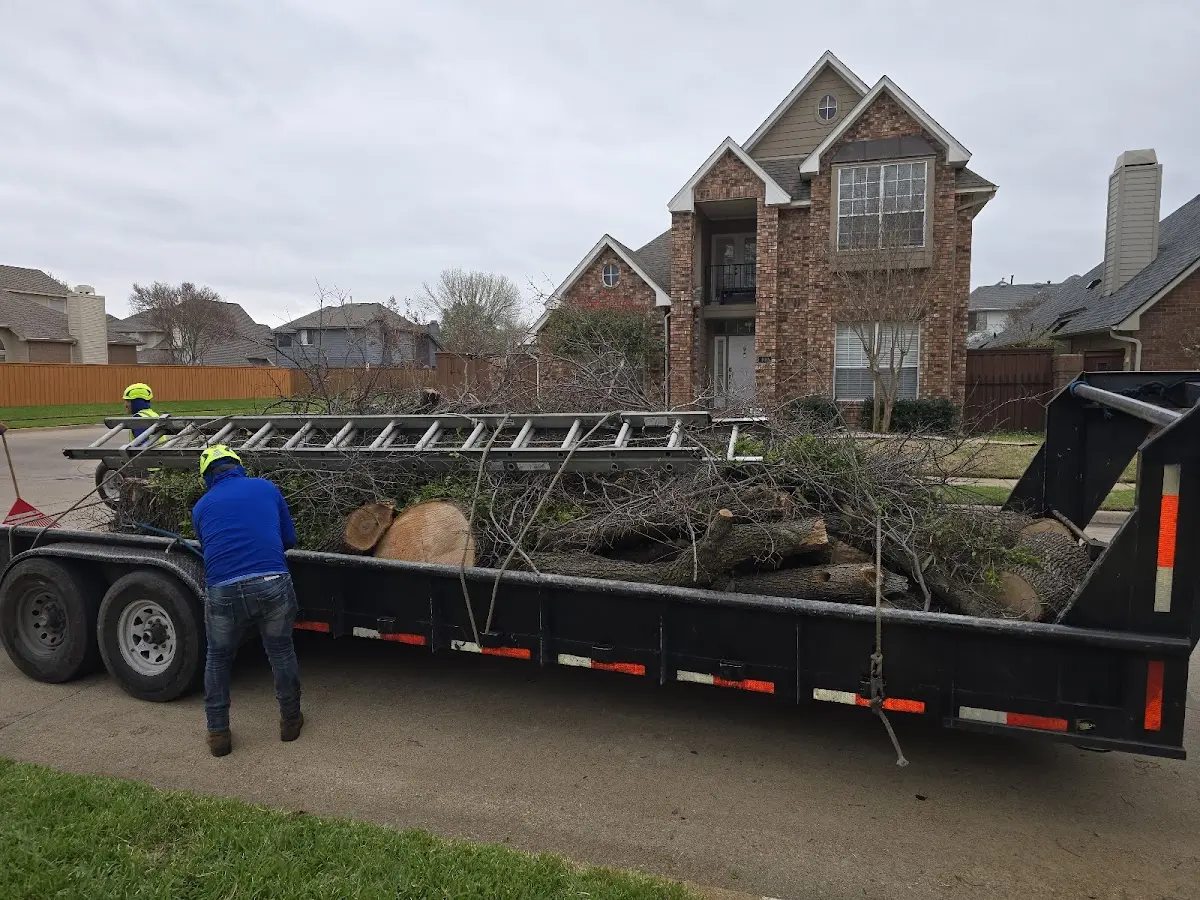Expert Lot Clearing with proper safety equipment in Weston